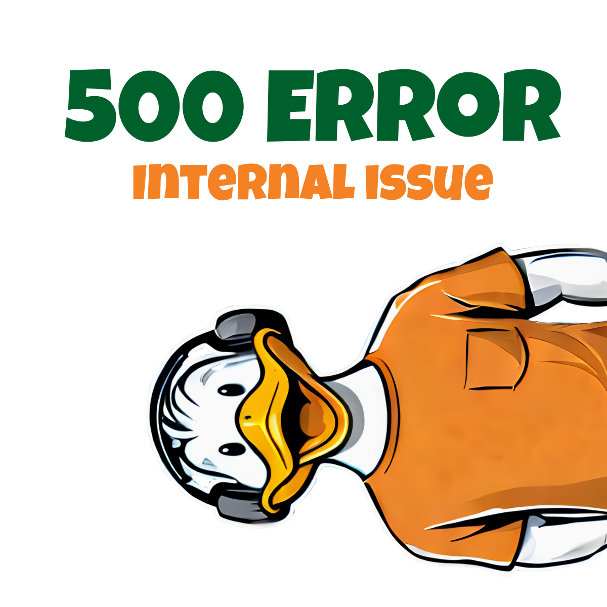 500 Error